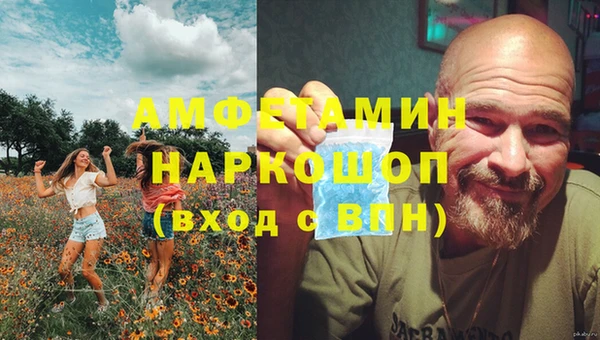 шишки Бородино